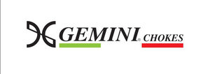Gemini_Logo_Vettoriale