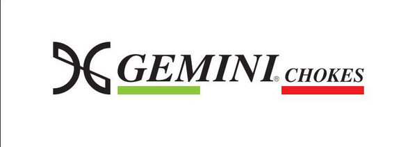 Gemini_Logo_Vettoriale